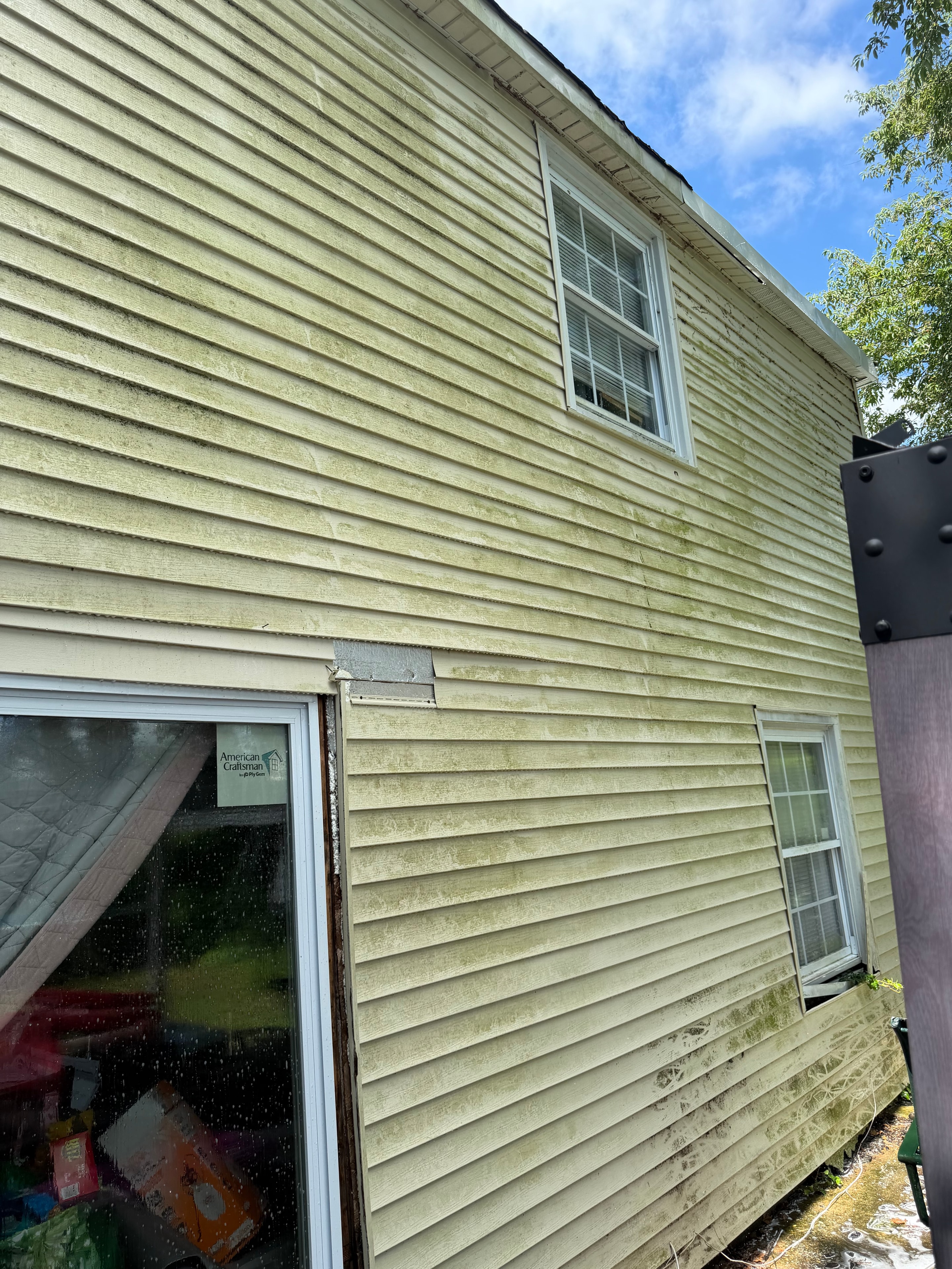 House siding covered in algae before soft washing