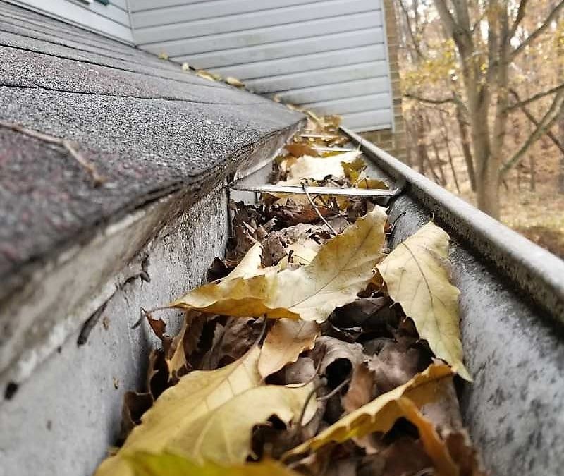 Professional gutter cleaning service